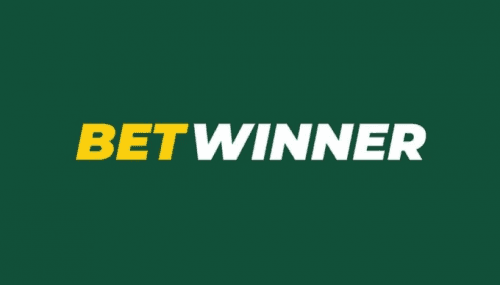 Everything You Need to Know About BetWinner Deposits France