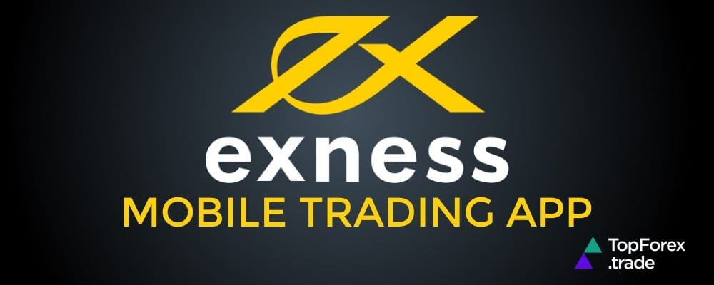Understanding the Exness Forex Trading Broker A Comprehensive Guide