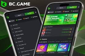 A Comprehensive Guide to BC App Casino for New Users
