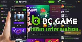 Understanding BC.Game Mirror Features and Benefits